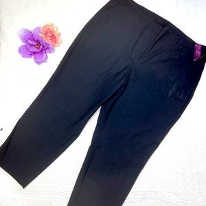 NWT 2017 Lane Bryant Women's Navy Blue Lightweight Pants; 24